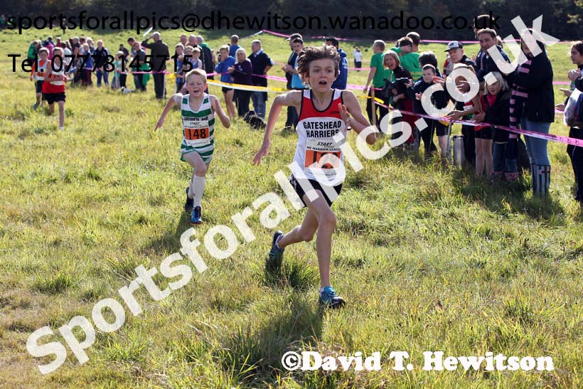 Under-11s start, North East Harrier League, Cramlington. Photo: David T. Hewitson/Sports for All Pics